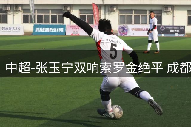 中超-张玉宁双响索罗金绝平 成都连扳两球2-2国安4连平